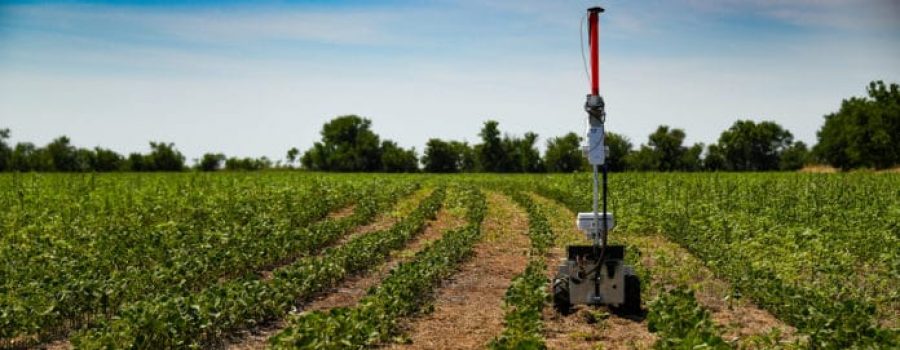 Robot za ekonomičnu borbu protiv korova bez upotrebe pesticida