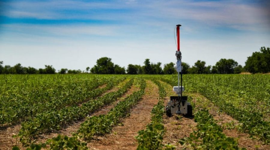 Robot za ekonomičnu borbu protiv korova bez upotrebe pesticida