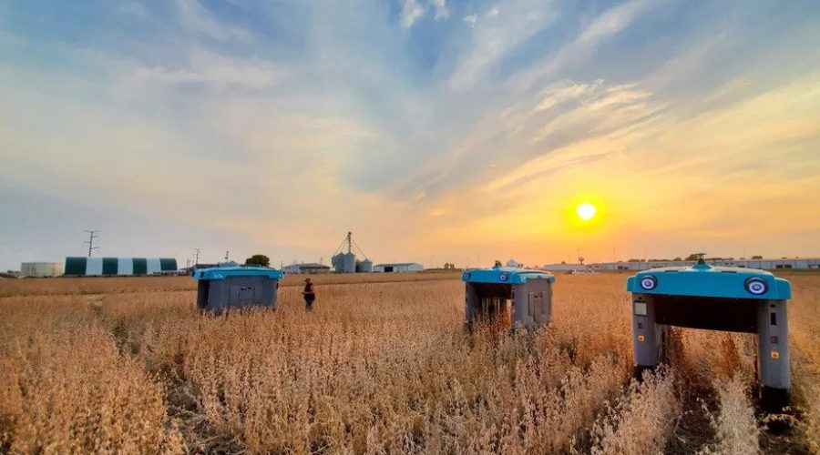 Novi Alphabetov projekat Mineral rješava pitanje održive proizvodnje hrane